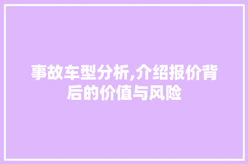 事故车型分析,介绍报价背后的价值与风险 发动机配件
