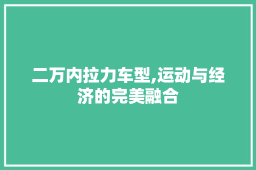 二万内拉力车型,运动与经济的完美融合