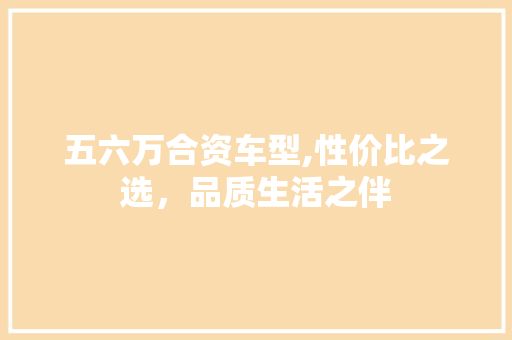 五六万合资车型,性价比之选，品质生活之伴