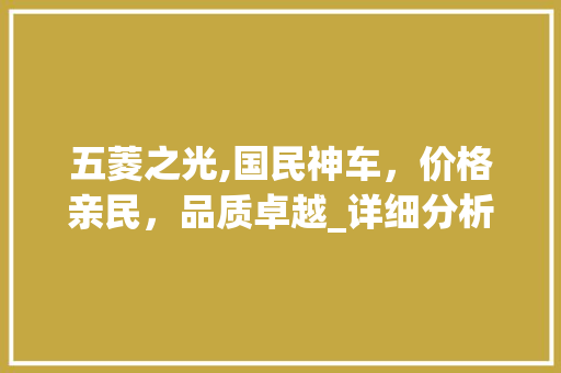 五菱之光,国民神车，价格亲民，品质卓越_详细分析