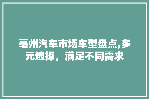 亳州汽车市场车型盘点,多元选择，满足不同需求