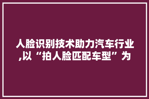 人脸识别技术助力汽车行业,以“拍人脸匹配车型”为例 车灯配件