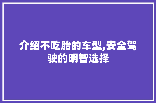 介绍不吃胎的车型,安全驾驶的明智选择