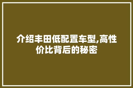 介绍丰田低配置车型,高性价比背后的秘密