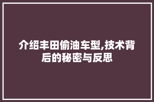 介绍丰田偷油车型,技术背后的秘密与反思