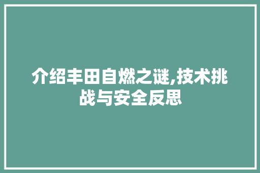 介绍丰田自燃之谜,技术挑战与安全反思