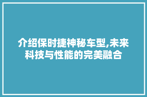 介绍保时捷神秘车型,未来科技与性能的完美融合