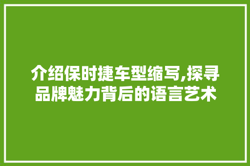 介绍保时捷车型缩写,探寻品牌魅力背后的语言艺术
