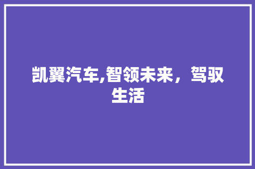 凯翼汽车,智领未来，驾驭生活