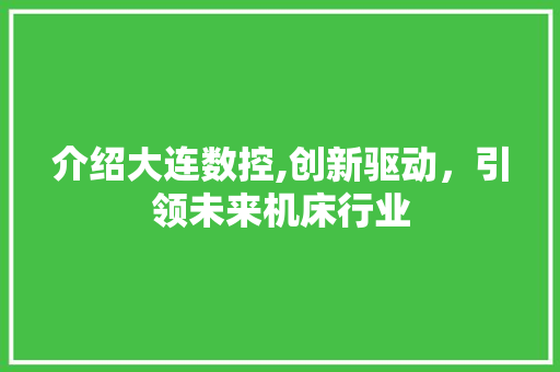介绍大连数控,创新驱动，引领未来机床行业