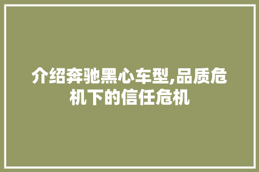 介绍奔驰黑心车型,品质危机下的信任危机