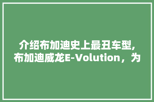 介绍布加迪史上最丑车型,布加迪威龙E-Volution，为何引发众议