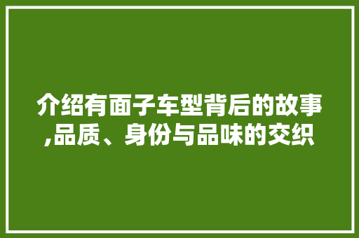 介绍有面子车型背后的故事,品质、身份与品味的交织