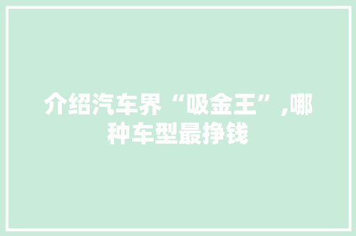 介绍汽车界“吸金王”,哪种车型最挣钱