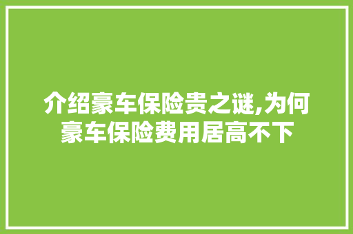 介绍豪车保险贵之谜,为何豪车保险费用居高不下 新能源汽车