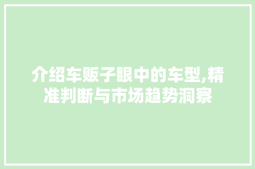 介绍车贩子眼中的车型,精准判断与市场趋势洞察 蓄电池配件