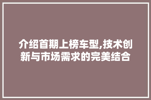 介绍首期上榜车型,技术创新与市场需求的完美结合