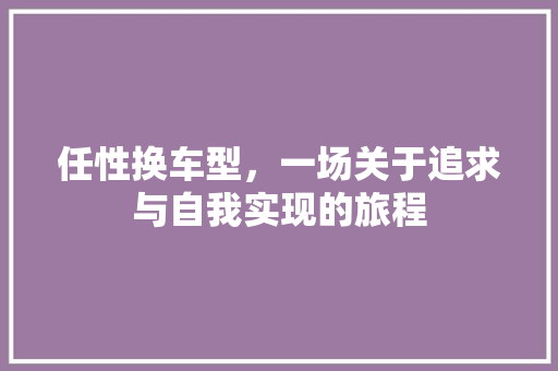 任性换车型，一场关于追求与自我实现的旅程