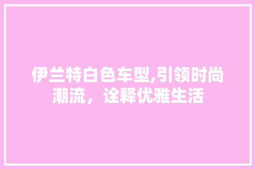 伊兰特白色车型,引领时尚潮流，诠释优雅生活