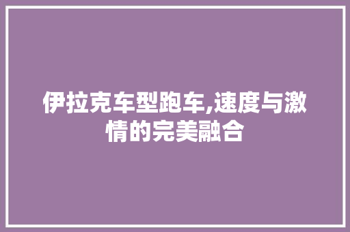 伊拉克车型跑车,速度与激情的完美融合