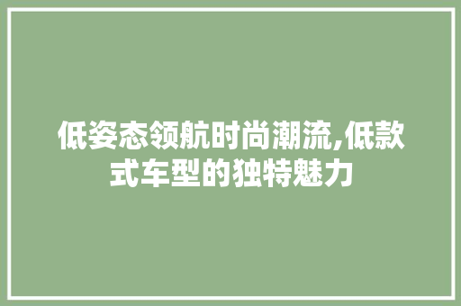 低姿态领航时尚潮流,低款式车型的独特魅力 发动机配件