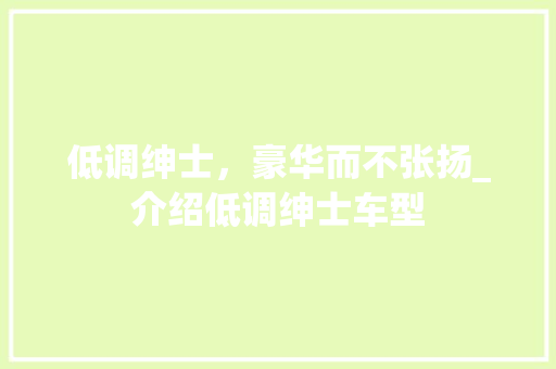 低调绅士，豪华而不张扬_介绍低调绅士车型