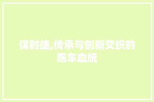 保时捷,传承与创新交织的跑车血统