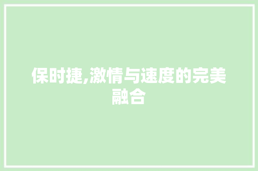 保时捷,激情与速度的完美融合