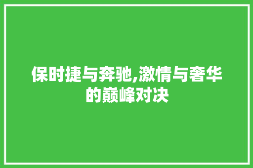 保时捷与奔驰,激情与奢华的巅峰对决