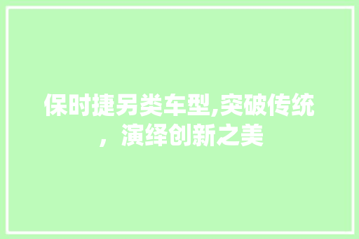 保时捷另类车型,突破传统，演绎创新之美