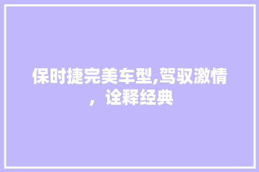 保时捷完美车型,驾驭激情，诠释经典
