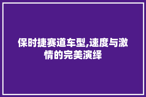 保时捷赛道车型,速度与激情的完美演绎