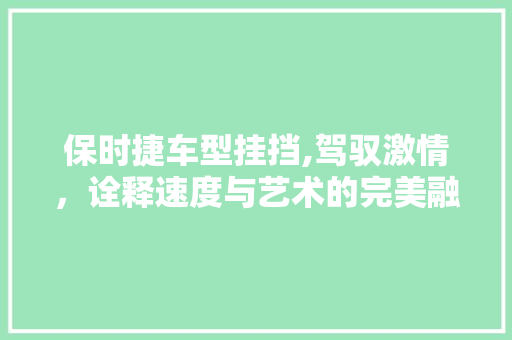 保时捷车型挂挡,驾驭激情，诠释速度与艺术的完美融合