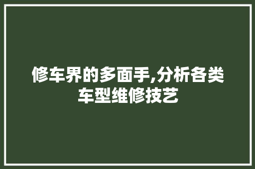 修车界的多面手,分析各类车型维修技艺 新能源汽车