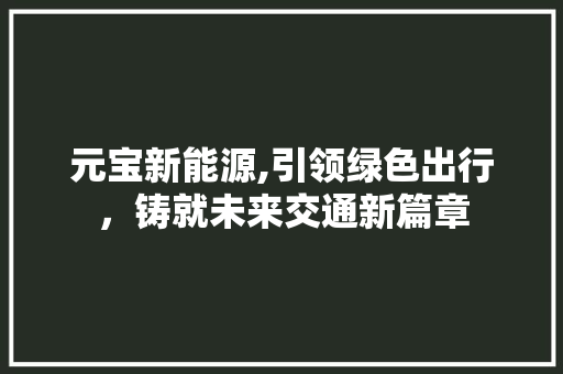 元宝新能源,引领绿色出行，铸就未来交通新篇章