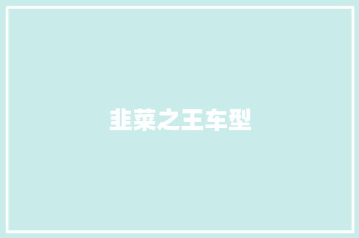 韭菜之王车型 新款车型