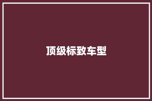 顶级标致车型 新款车型