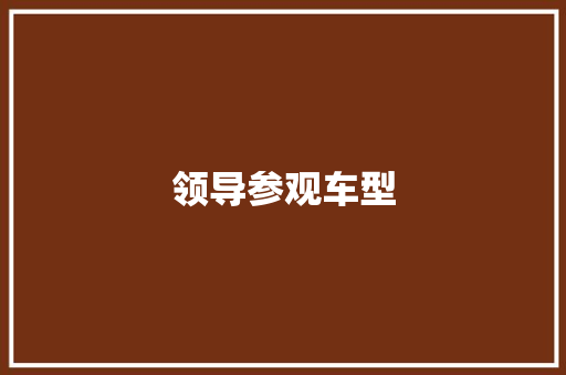 领导参观车型