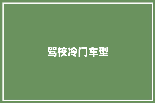 驾校冷门车型 新能源汽车