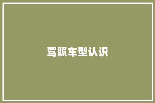 驾照车型认识