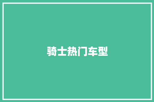 骑士热门车型