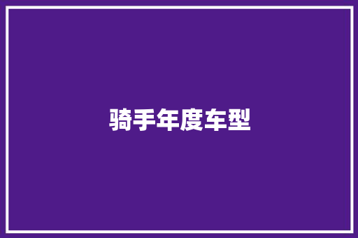骑手年度车型