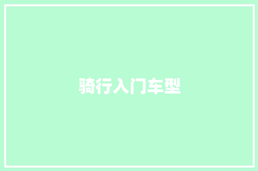 骑行入门车型