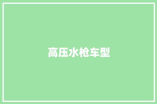 高压水枪车型