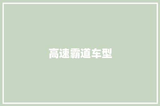 高速霸道车型