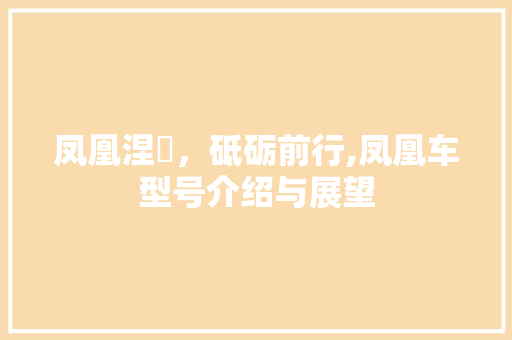 凤凰涅槃，砥砺前行,凤凰车型号介绍与展望
