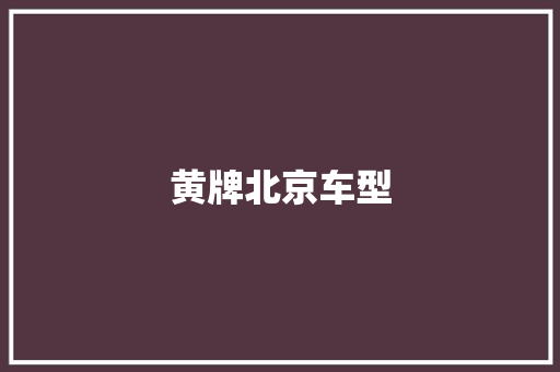 黄牌北京车型