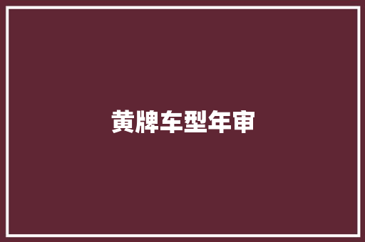 黄牌车型年审