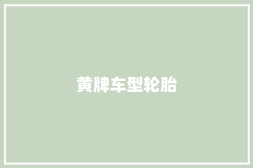 黄牌车型轮胎