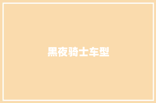 黑夜骑士车型